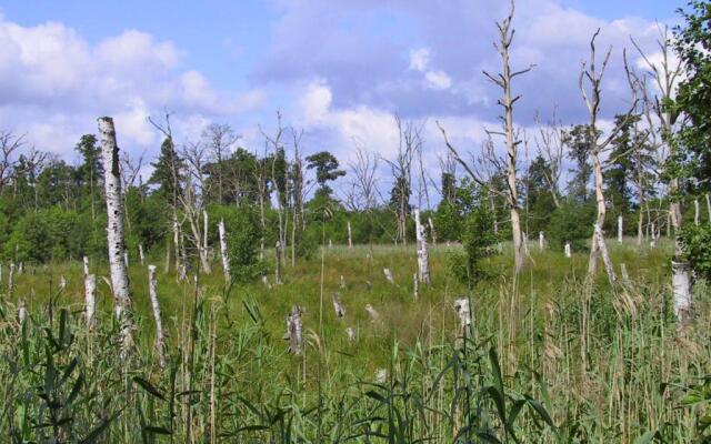 Ferienwohnung Schwarzenhof SEE 6631