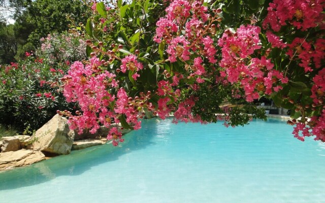 B&B la Bousquatière