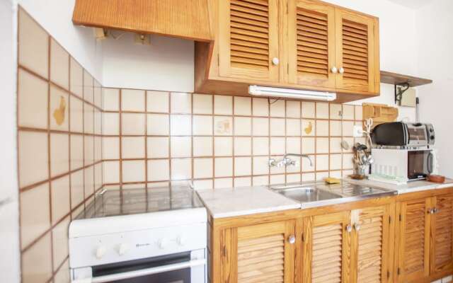 Bosc y Sol - Formentera Libre