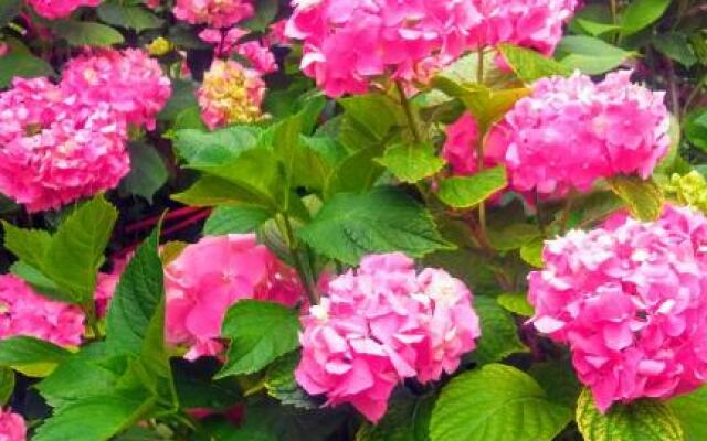 Apartman Nana Jagodina