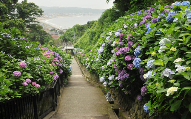 APA Hotel Shonan Tsujido Ekimae