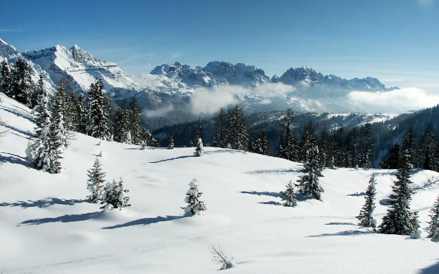 Albare - One Bedroom No.5