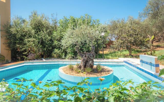 Olive Farm