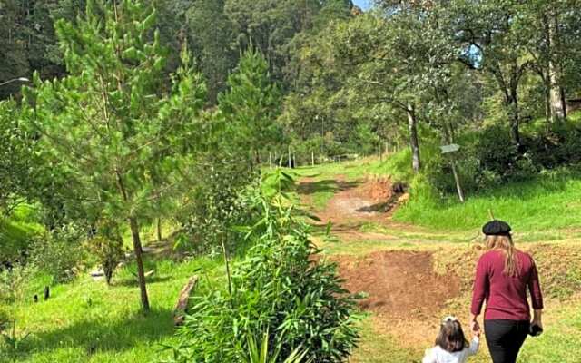 Romanticas Cabañas En Bosque