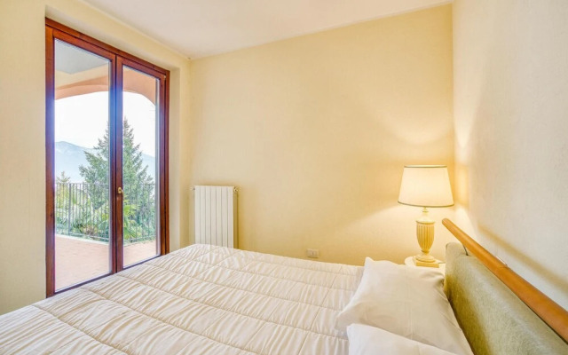 Vigneto due - Trilo 6