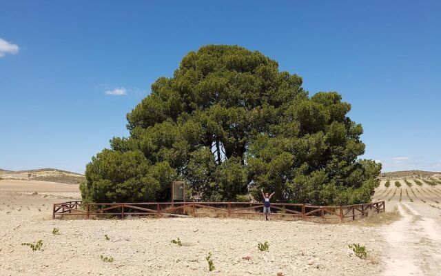 Cortijo de los Castellanos