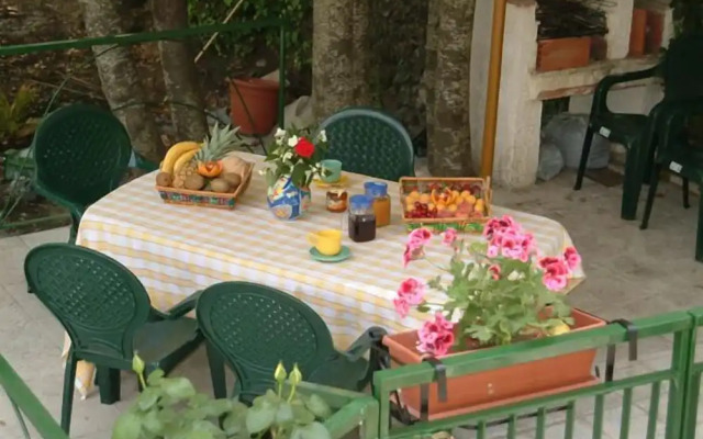 Castagneto dell'Etna