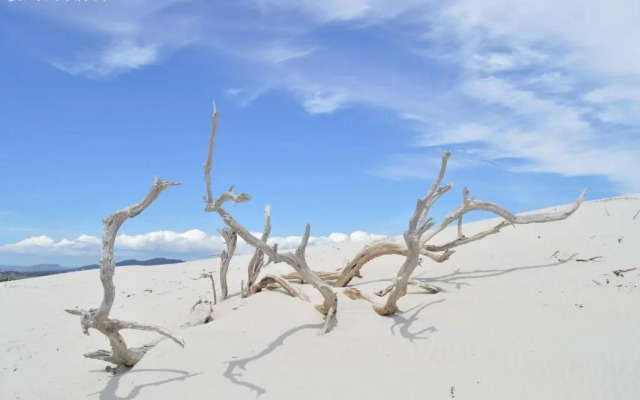 Agriturismo Is Solinas