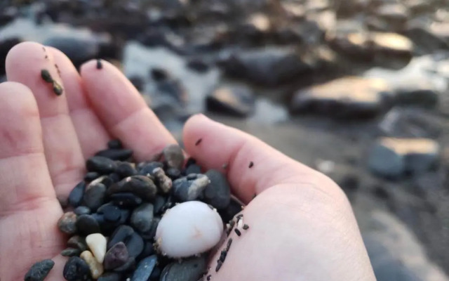 Lodge Cabin with Fabulous Views - Farm Holiday