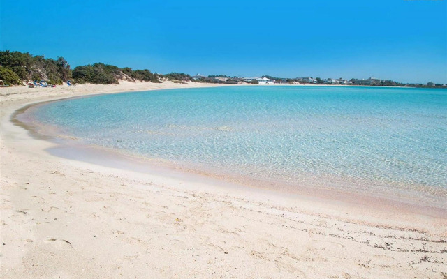 1432 Trilo Stella di Mare 2