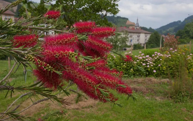 Agroturismo Ibarre