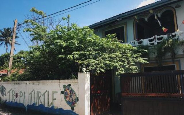 Tropi Turtle Guesthouse