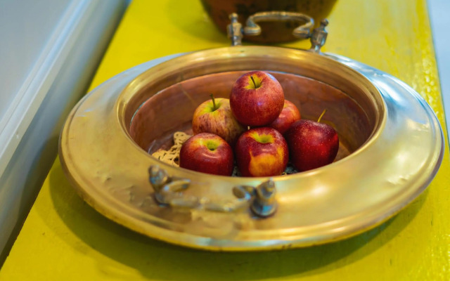 Cozy and quirky Wolf Apartment