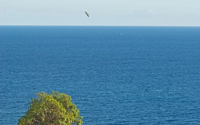 Rodamar I by An Island Apart