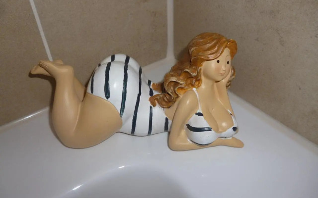 Ferienwohnung Schwarzwald-Alpenblick