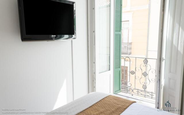 Apartamentos Living4Málaga Deluxe