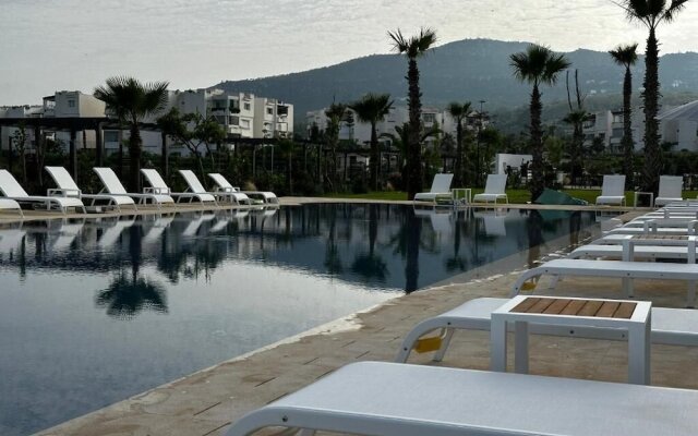 Playa Del Pacha Suites Hotel
