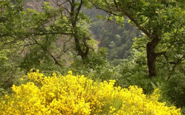 Chambres dhôtes Le Fougal