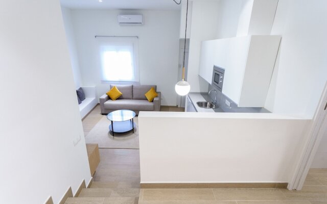 SW Premium Capuchinos