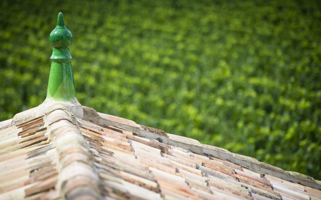 Haut-Bailly - La Chartreuse - Anciennement Château Le Pape