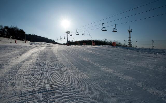 Holiday Inn Alpensia Pyeongchang Suites by IHG
