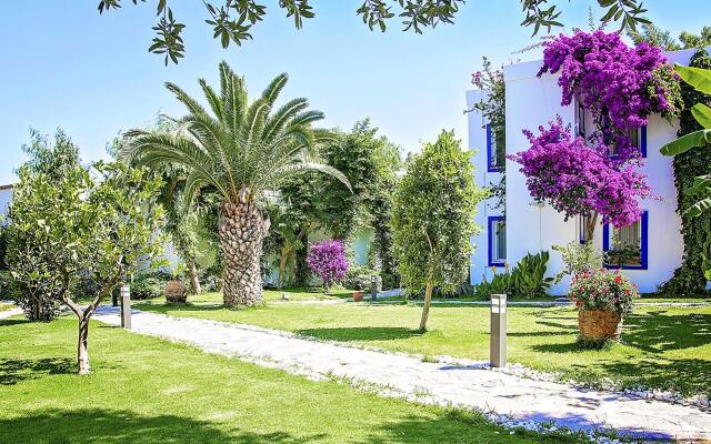 Mavi Suite Türkbükü