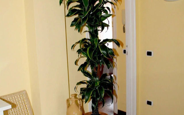 Le Finestre sul Vaticano