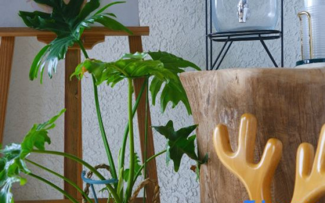 Agu B&B (Hangzhou Shuangxi Zhuhai Jingshan Store)