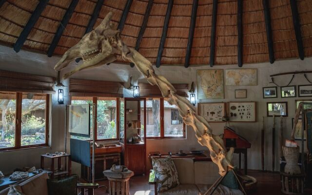 Mashatu Lodge - Mashatu Game Reserve