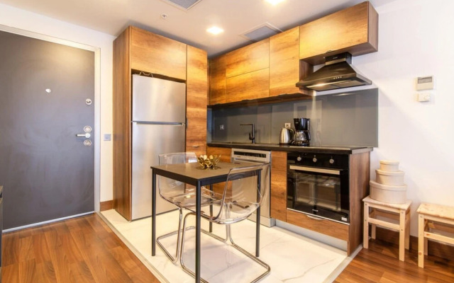 Stylish Flat With Central Location in Sisli