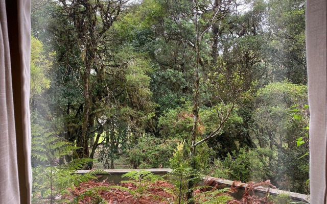 Studio 2007 Laje de Pedra Gramado Canela