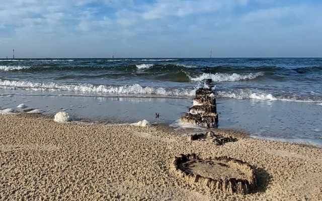 Pet-friendly Escape by the Sea