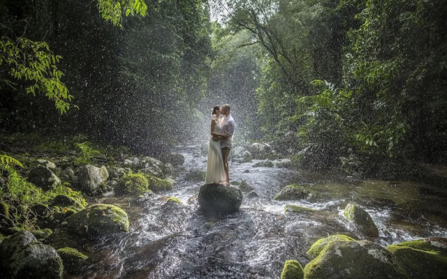 Misty Mountains Rainforest Retreat