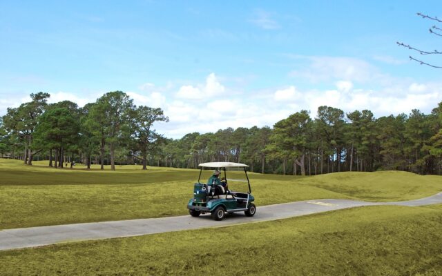 Magnolia Pointe by Palmetto Vacation Rentals
