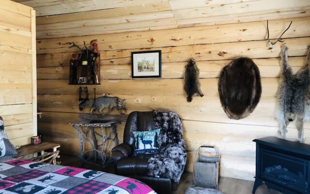 Wrangell Mountain Lodge