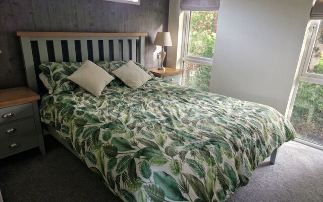 Maple 2 Bedroom Luxury Lodge in Mid Wales