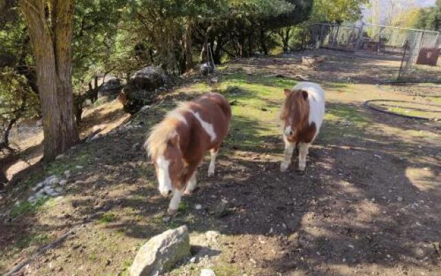 Chalet 1 Bedroom 1 Bathroom - Kalavryta