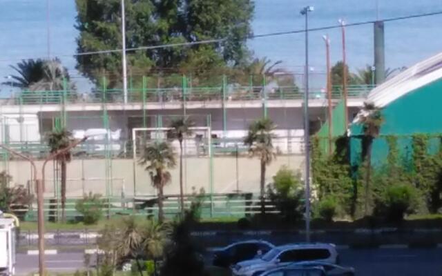 Apartments on Inasaridze 14