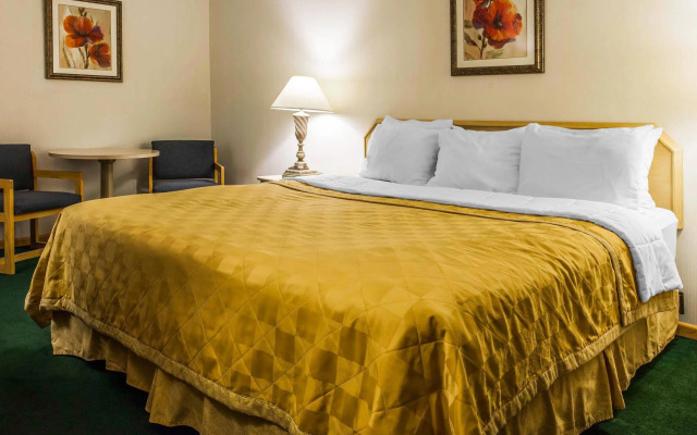 Bellis Inn