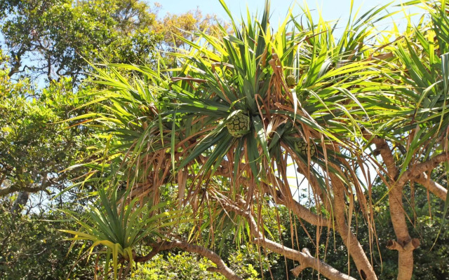 Windmill 4 - Two Bedroom Beachside Apartment on Parkyn Parade!