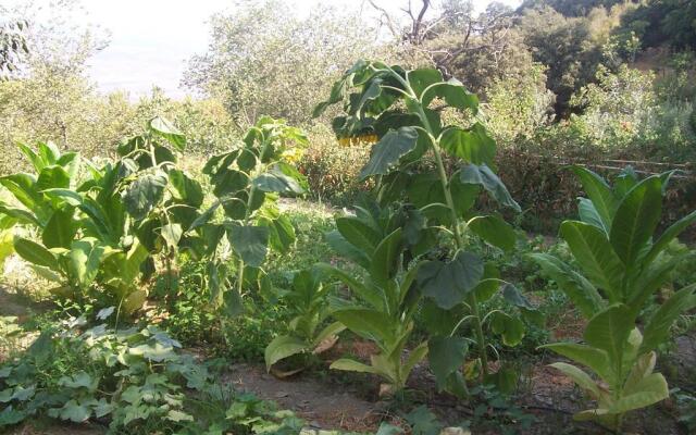 Casa Rural Barranco de la Salud