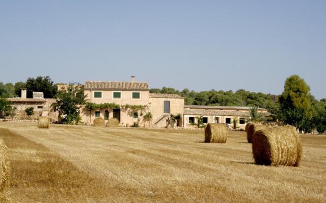 Finca Agroturismo Sa Cova den Borino