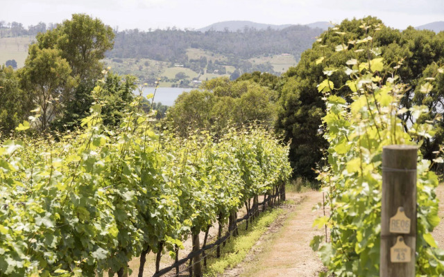 Armalong Winery Chalets