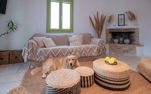 Ventu Paros Villa