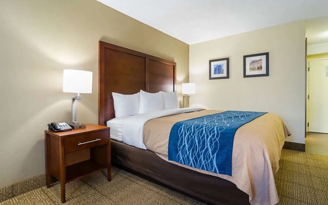 Comfort Inn Medical Park