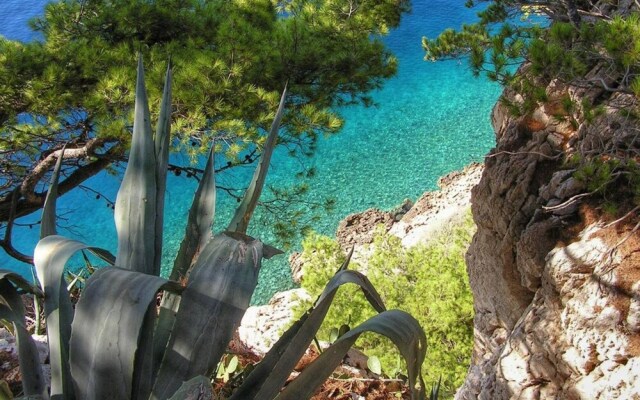 Sea View Apartment With Terrase Vl