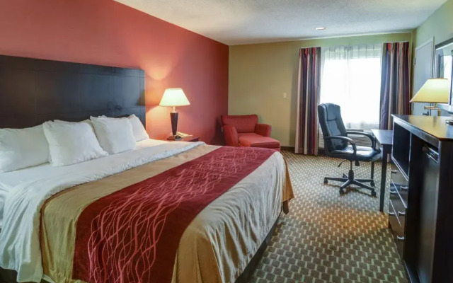 Comfort Inn Pine Bluff