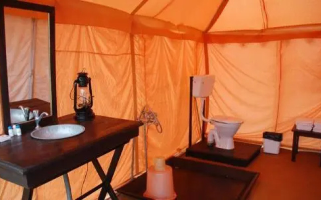 Camp Paradise