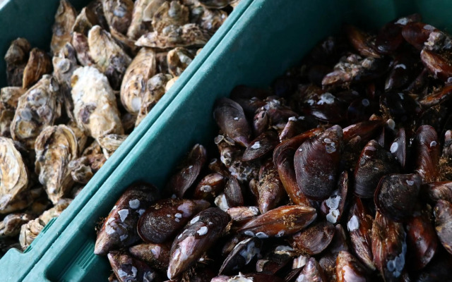 Curta Praia de Armação - Casa Coqueiro