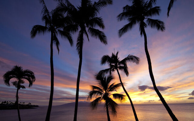 Napili Kai Beach Resort